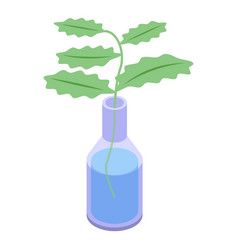 Isometric Plant In Bottle