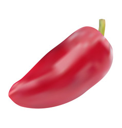 Realistic Red Chilli