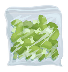 Fresh Broccoli In A Plastic Bag