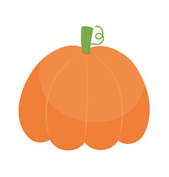 Orange Pumpkin Icon