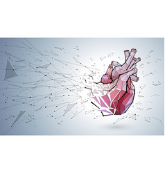 3d Of The Vascular Tubes Of The Human Heart