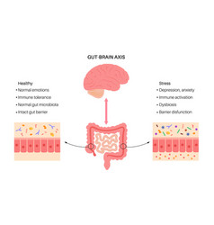 Gut Brain Connection