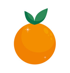 Orange Fruit Icon