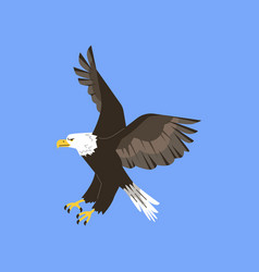 American Bald Eagle In Flight Isolated