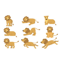 Cartoon Lion Actions Set