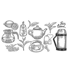 Tea set isolated on white background hand drawn Vector Image