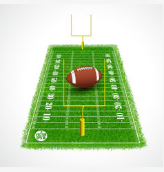 American Football Field Perspective View