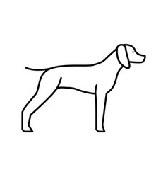 German Shrothaired Pointer Dog Line Icon