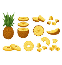 Pineapple Set Tropical Fresh Whole And Peeled