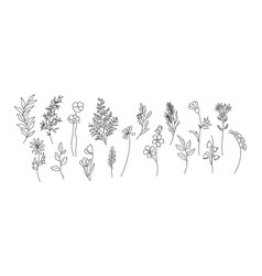 Set Of Tiny Wild Flower And Plant Line Art