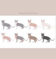 Donskoy Don Sphynx Cat Clipart All Coat Colors