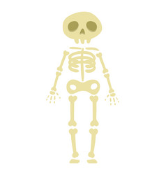 Person With Skeleton Costume