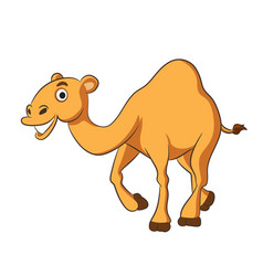 Cute Funny Camel