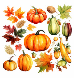 Autumn Thanksgiving Watercolor Clipart White