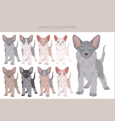 Donskoy Don Sphynx Cat Clipart All Coat Colors