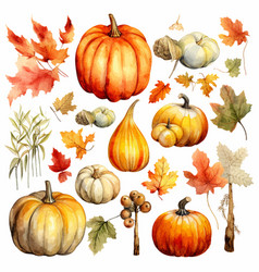 Autumn Thanksgiving Watercolor Clipart White