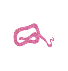 Pink Spotty Snake Cartoon Exotic Pet