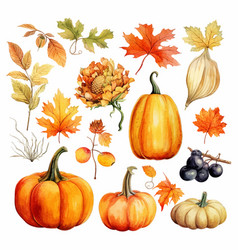 Autumn Thanksgiving Watercolor Clipart White