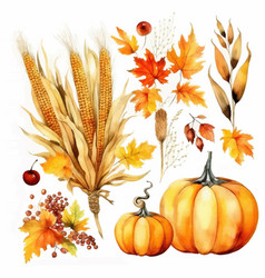 Autumn Thanksgiving Watercolor Clipart White