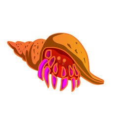 Hermit Crab