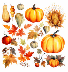 Autumn Thanksgiving Watercolor Clipart White