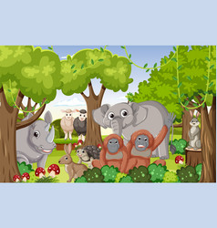 Wild Animals In The Forest A Cartoon