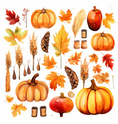 Autumn Thanksgiving Watercolor Clipart White