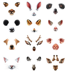 Cute Animal Masks Video Chat Application Effect