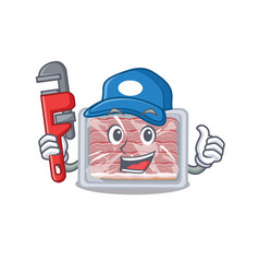 Frozen Smoked Bacon Smart Plumber Cartoon