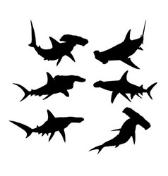 Set Of Silhouettes Of Hammerhead Sharks