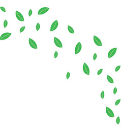 Green Tea Leaf Icon