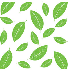 Green Tea Leaf Icon