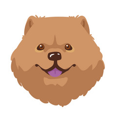 Chow Chow Dog Mascot