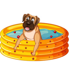 Dog Bathing In Yellow Pool