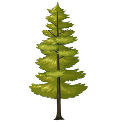 A Stylized Of Green Pine Tree