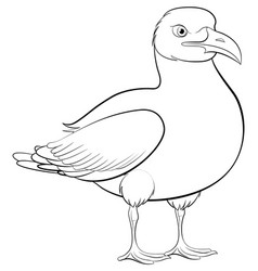 Seagull Cartoon Outline