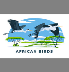 Two African Herons Flying Over The Savannah