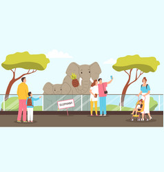 Elephants In Zoo