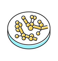 Candida Fungi Albicans Color Icon