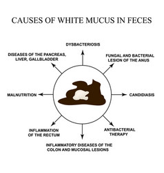 Causes White Mucus In Feces Diseases