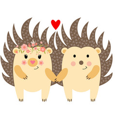 Cute Couple Of Hedgehogs In Love