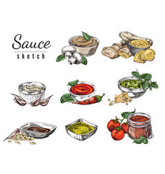 Set Of Hand Drawn Different Sauces In Bowls Sketch