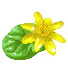 Stylized Yellow Buttercup