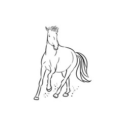 Graphics Image Drawing Horse Running Outline