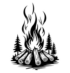 Camp Fire Hand Drawn Line Transparent Background