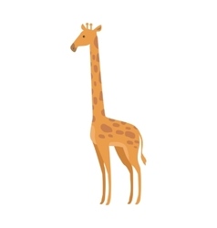 Giraffe Giraffa Camelopardalis Cartoon Animal