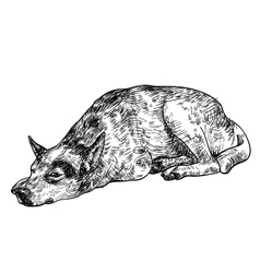 Stray Vector Images (over 520)