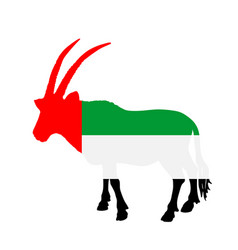 Uae Flag Over Oryx Gazelle National Animal