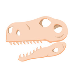 Dinosaur Head Skull Fossil Clipart Isolated