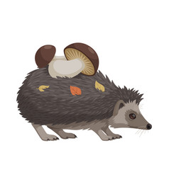 Forest Hedgehog With Mushrooms And Autumn Leaves